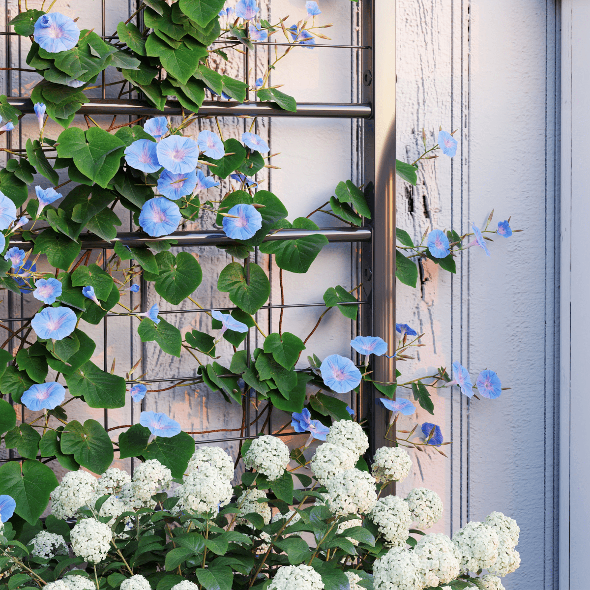 Elevate Your Garden: Durable Raised Bed with Trellis for Climbing Plants - plants - express.com
