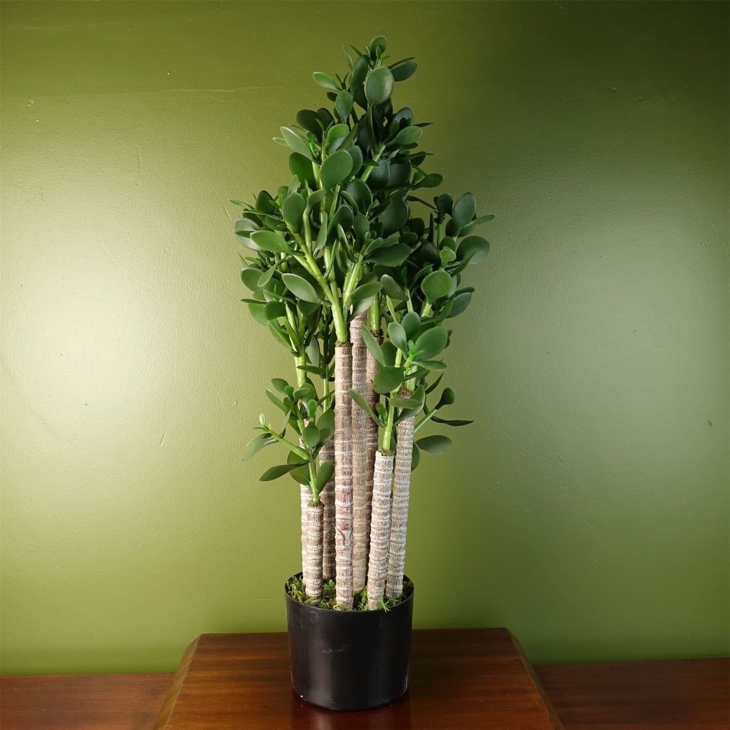 Elevate Your Space: 75cm Luxe Artificial Green Jade Plant Décor - plants - express.com