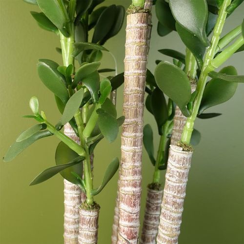 Elevate Your Space: 75cm Luxe Artificial Green Jade Plant Décor - plants - express.com