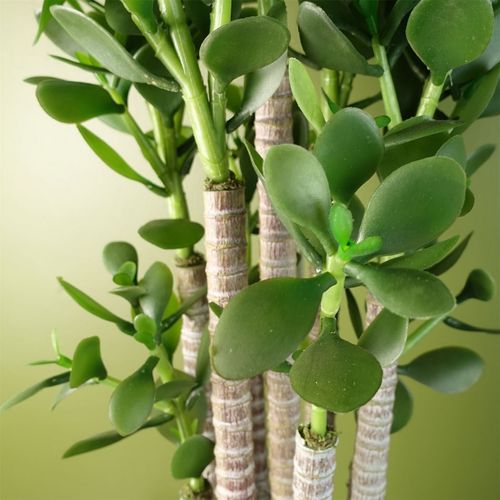 Elevate Your Space: 75cm Luxe Artificial Green Jade Plant Décor - plants - express.com