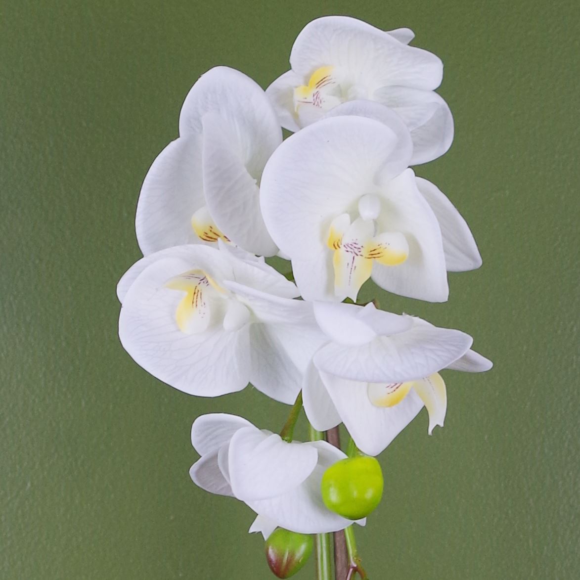 Exquisite 46cm White & Gold Artificial Orchid with Real Touch Leaves - plants - express.com