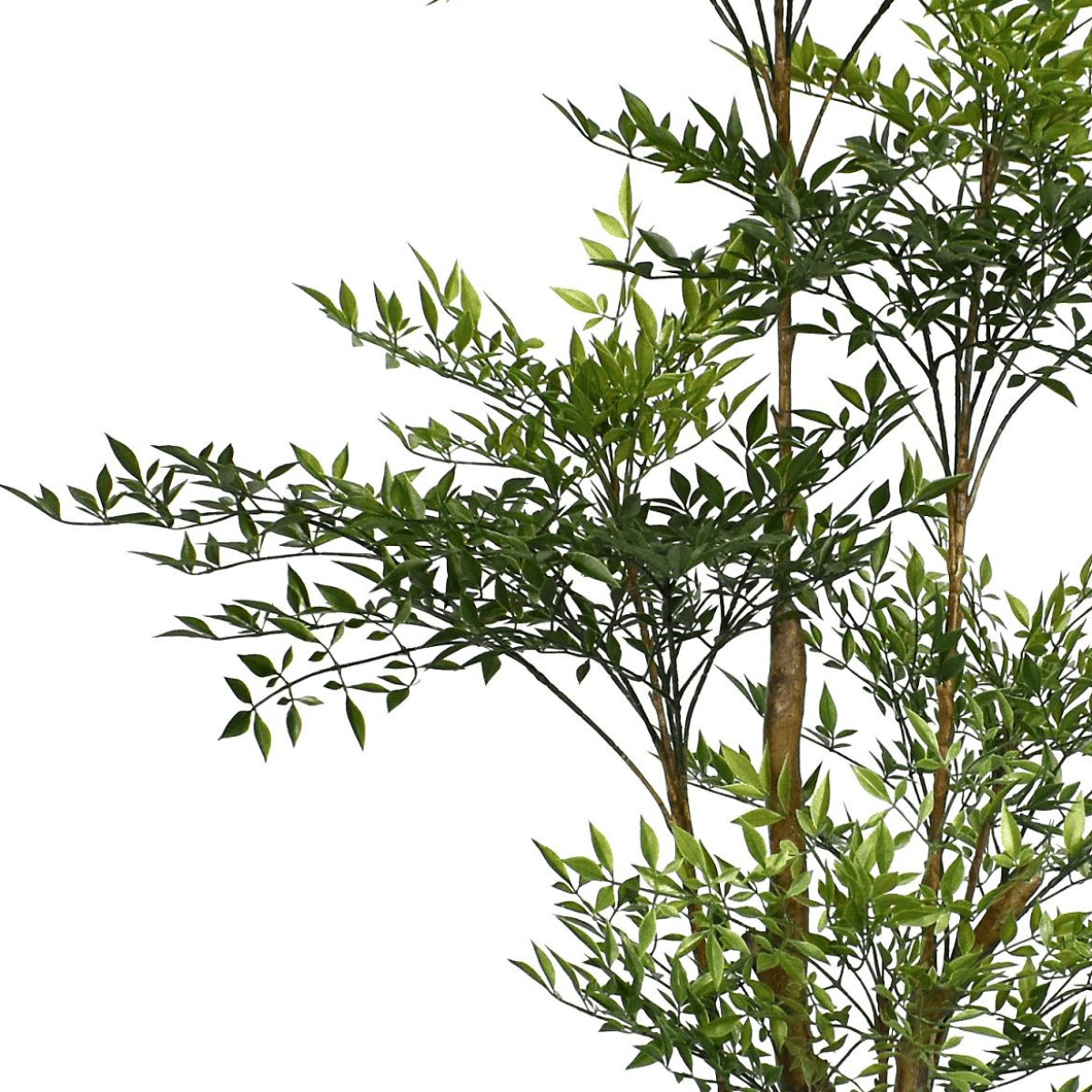 Flame - Resistant 165cm Nandina Tree - 4857 Lush Leaves, No Maintenance Needed - plants - express.com