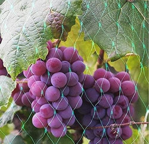 Heavy Duty Garden Netting – Ultimate Protection for Veggies & Climbing Plants - plants - express.com
