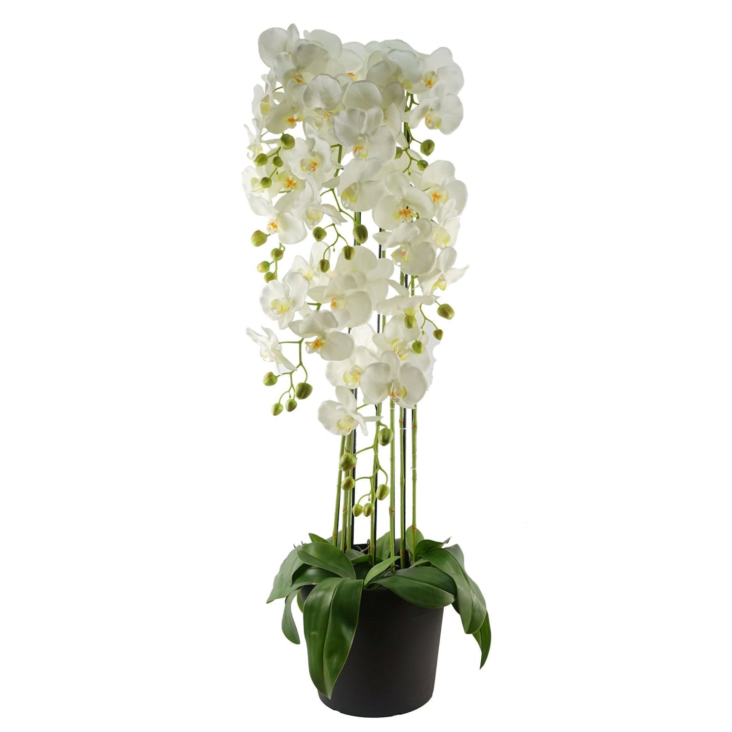 Impressive 110cm Artificial White Orchid - 41 Real Touch Flowers for Elegance - plants - express.com
