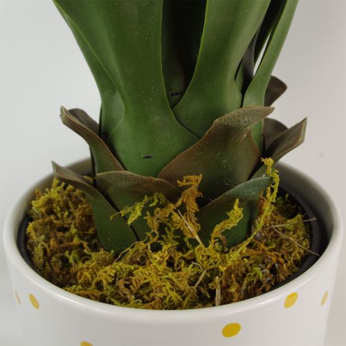 Lifelike 55cm Artificial Yucca Plant - Perfect for Effortless Indoor Decor - plants - express.com