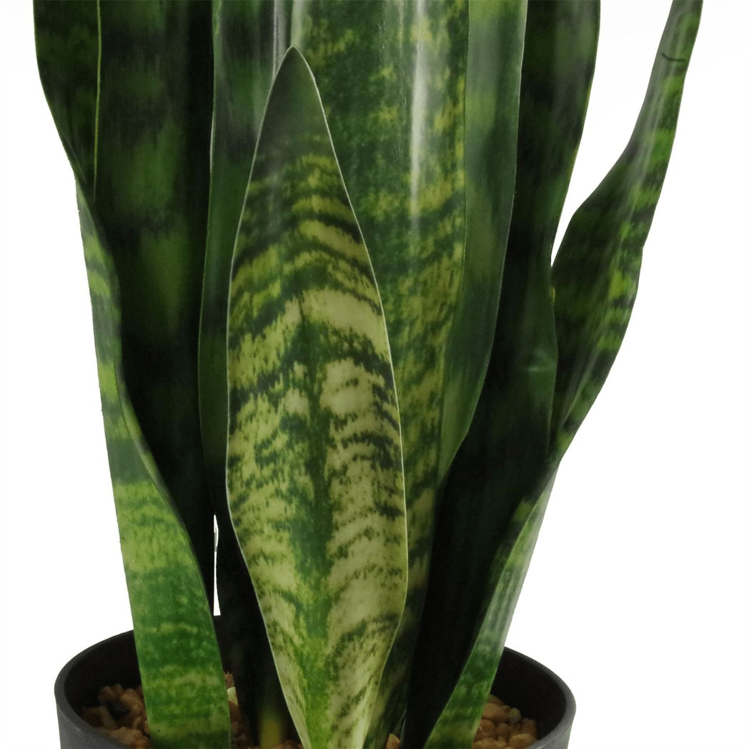 Lifelike 70cm Artificial Sansevieria Zeylanica - Customizable Beauty for Any Space! - plants - express.com