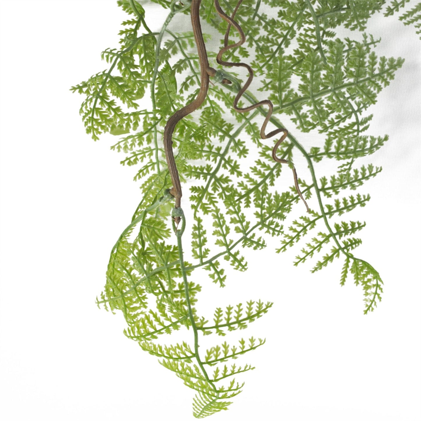 Lush 100cm Artificial Maidenhair Fern - Perfect for Hanging Displays! - plants - express.com
