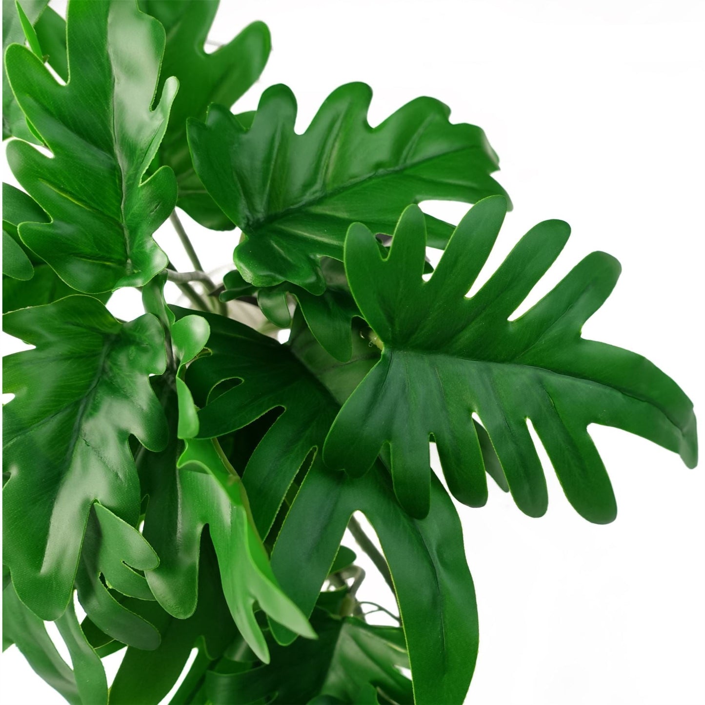 Lush 6 - Pack of 50cm Artificial Trailing Philodendron Plants for Stunning Decor - plants - express.com