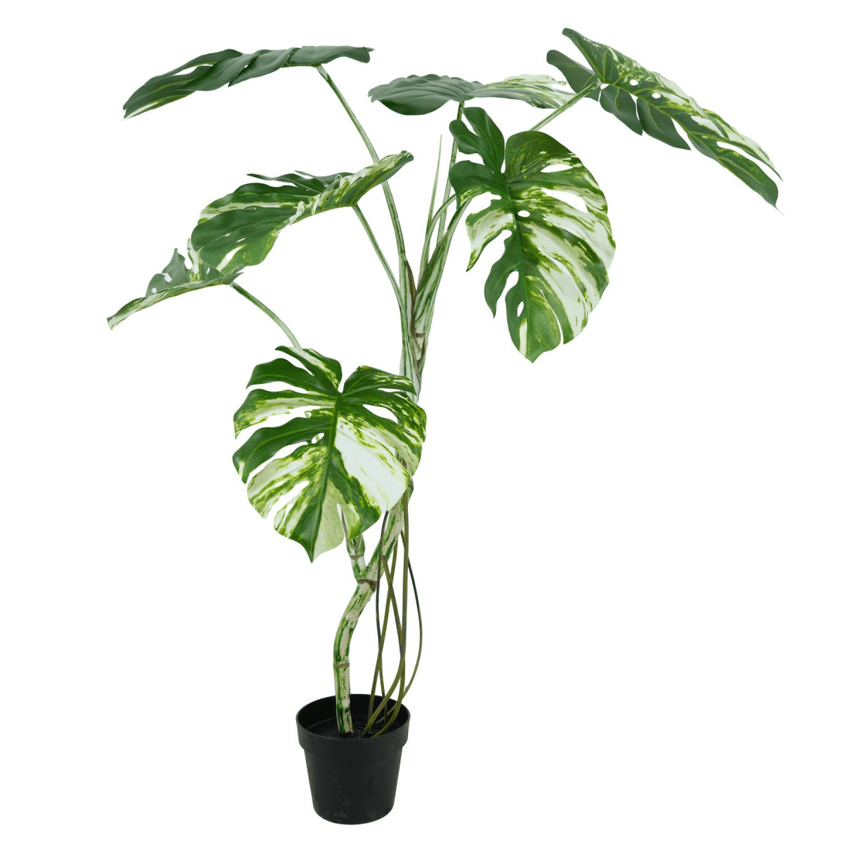 Luxurious 120cm Variegated Monstera Faux Tree – Chic Tropical Elegance! - plants - express.com