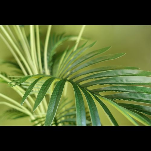 Luxurious 150cm Artificial Areca Palm Tree in Stylish Black Pot - plants - express.com