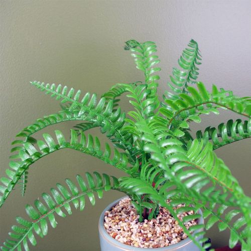 Luxurious 40cm Artificial Fern in Ceramic Planter & Stylish Metal Stand - plants - express.com