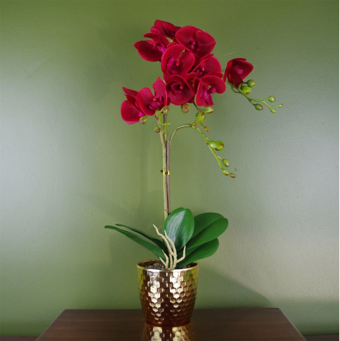 Luxurious 50cm Dark Red Phalaenopsis Orchid in Chic Gold Honeycomb Pot - plants - express.com