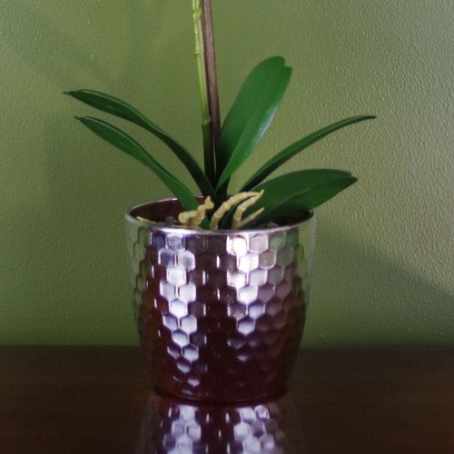 Luxurious 50cm Light Pink Artificial Phalaenopsis Orchid in Silver Pot - plants - express.com