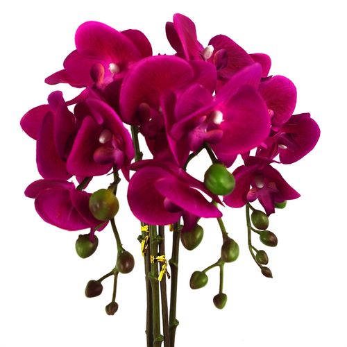 Luxurious 52cm Dark Pink Orchid - Real Touch, Elegant Silver Pot - plants - express.com