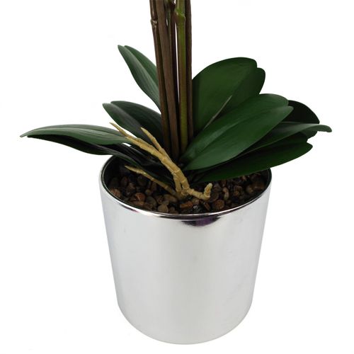 Luxurious 52cm Dark Pink Orchid - Real Touch, Elegant Silver Pot - plants - express.com