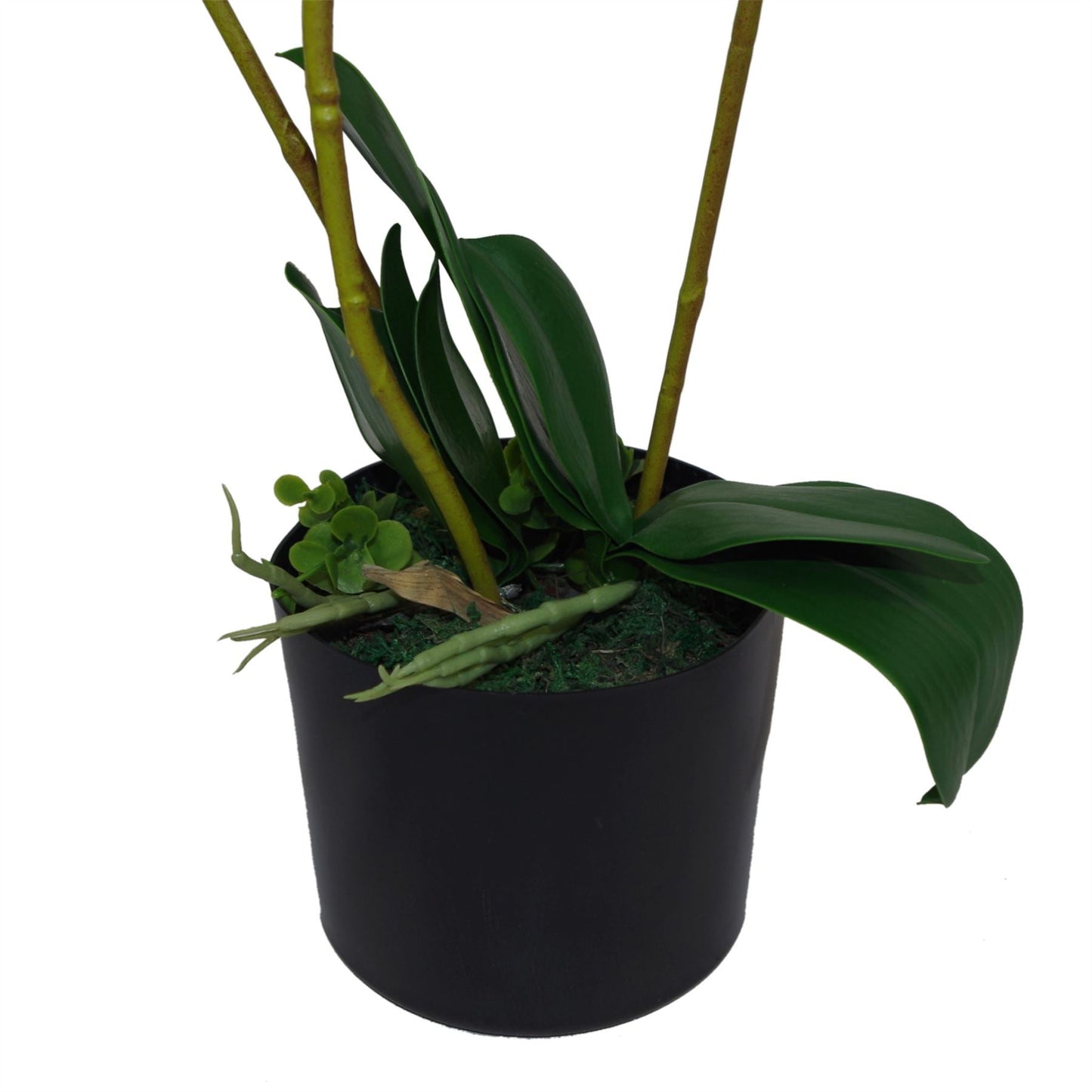 Luxurious 65cm White Potted Artificial Orchid - Stunning 3 Stem Arrangement - plants - express.com