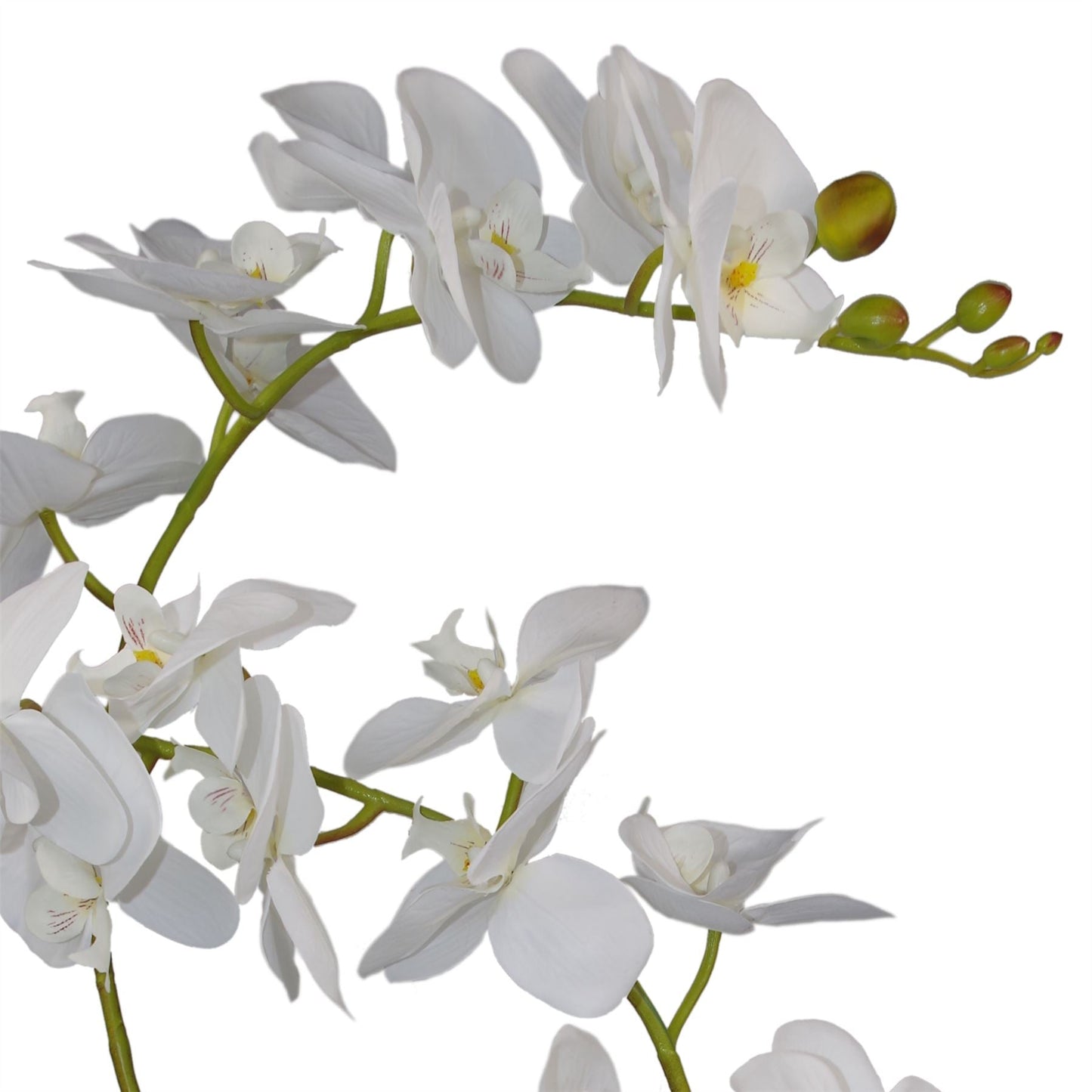 Luxurious 65cm White Potted Artificial Orchid - Stunning 3 Stem Arrangement - plants - express.com