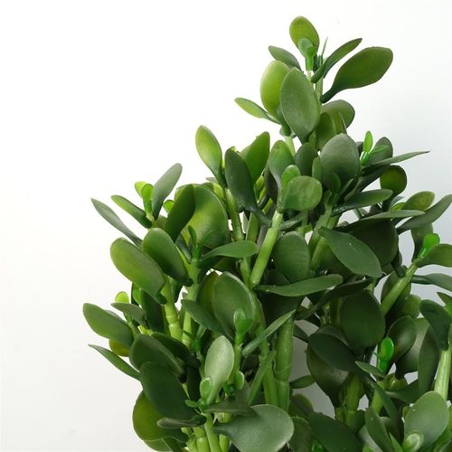 Luxurious 75cm Artificial Green Jade Plant – Stunning Home Decor Accent - plants - express.com