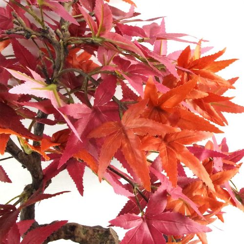 Luxury 50cm Artificial Red Maple Bonsai Tree – Maintenance - Free Elegance - plants - express.com