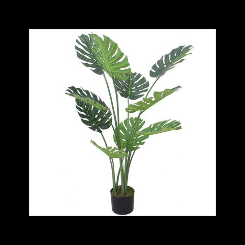 Majestic 120cm Monstera Plant in Sleek Black Pot - Effortless Elegance! - plants - express.com