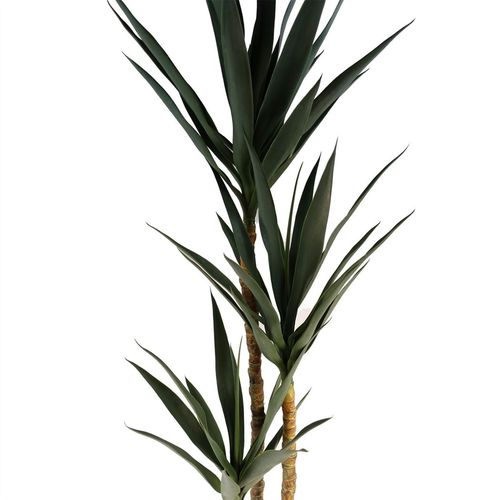 Majestic 170cm XL Triple Yukka Tree - Realistic Artificial Plant for Elegance - plants - express.com