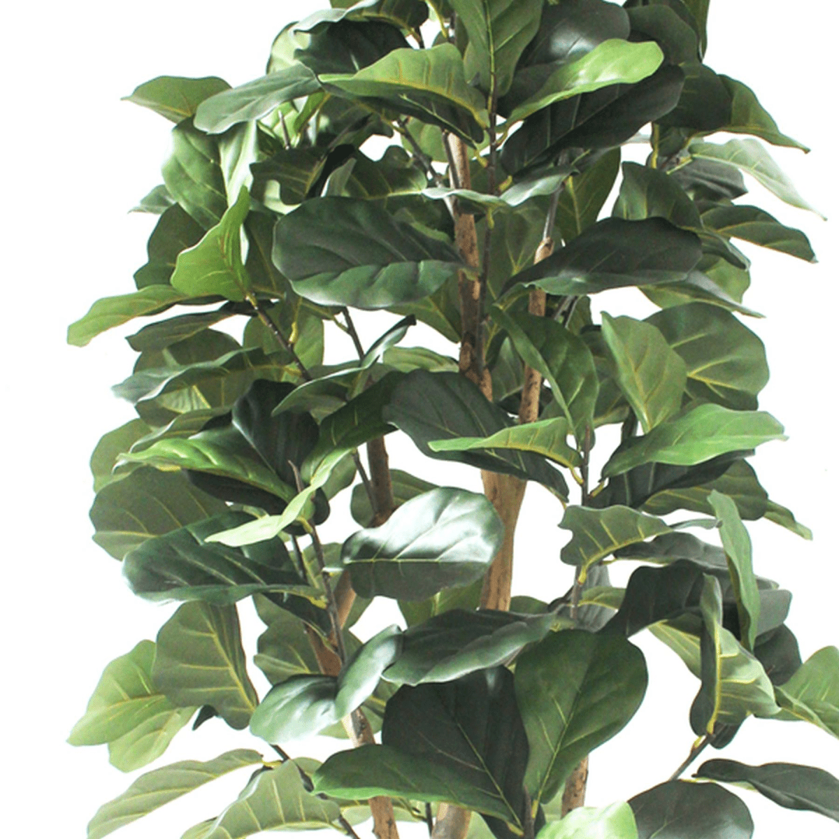 Majestic 180cm Artificial Fiddle Fig Tree - Lush, Lifelike Elegance! - plants - express.com