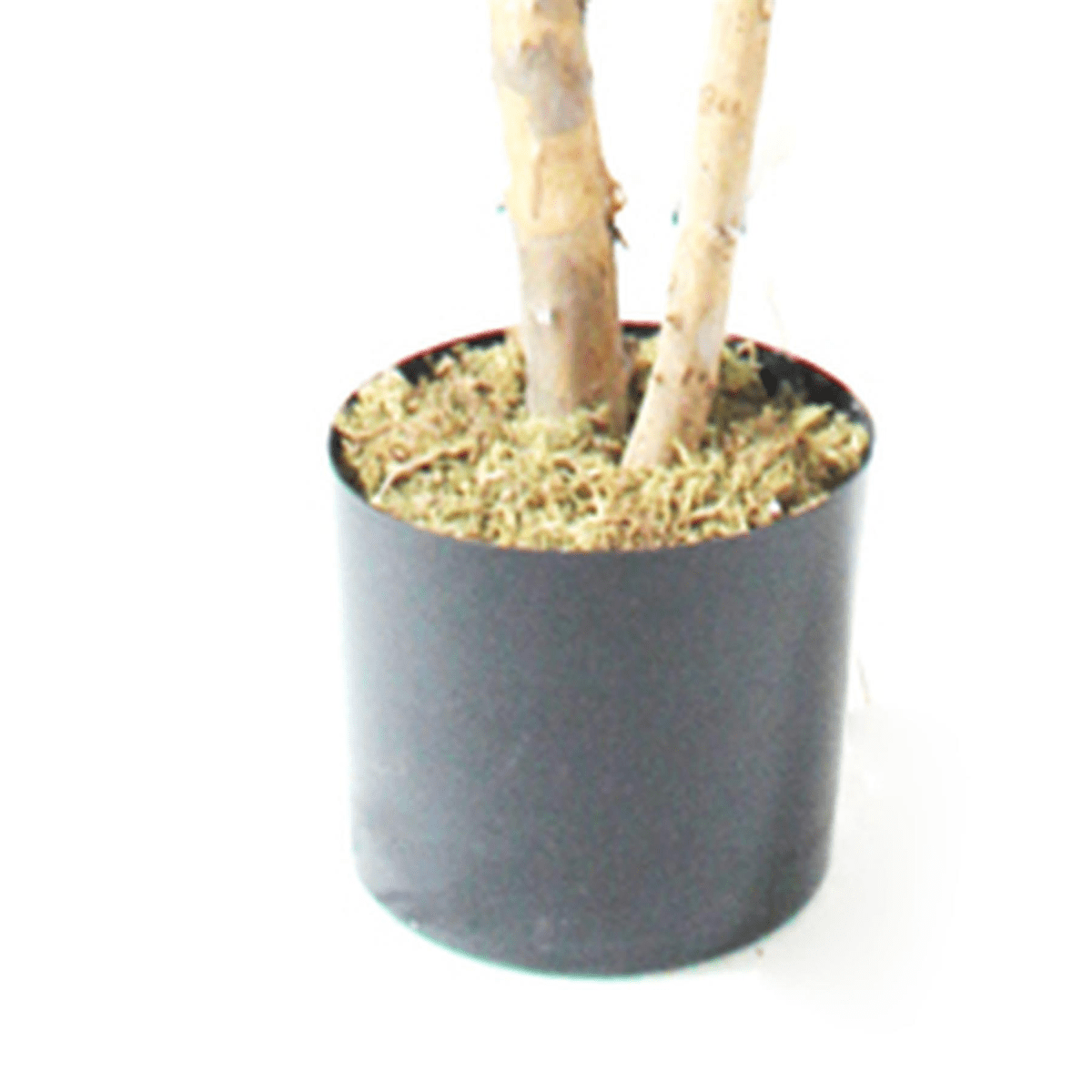 Majestic 180cm Artificial Fiddle Fig Tree - Lush, Lifelike Elegance! - plants - express.com