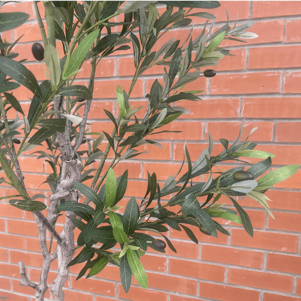 Majestic 200cm XXL Faux Olive Tree with Elegant Planter - Perfect Statement Decor! - plants - express.com