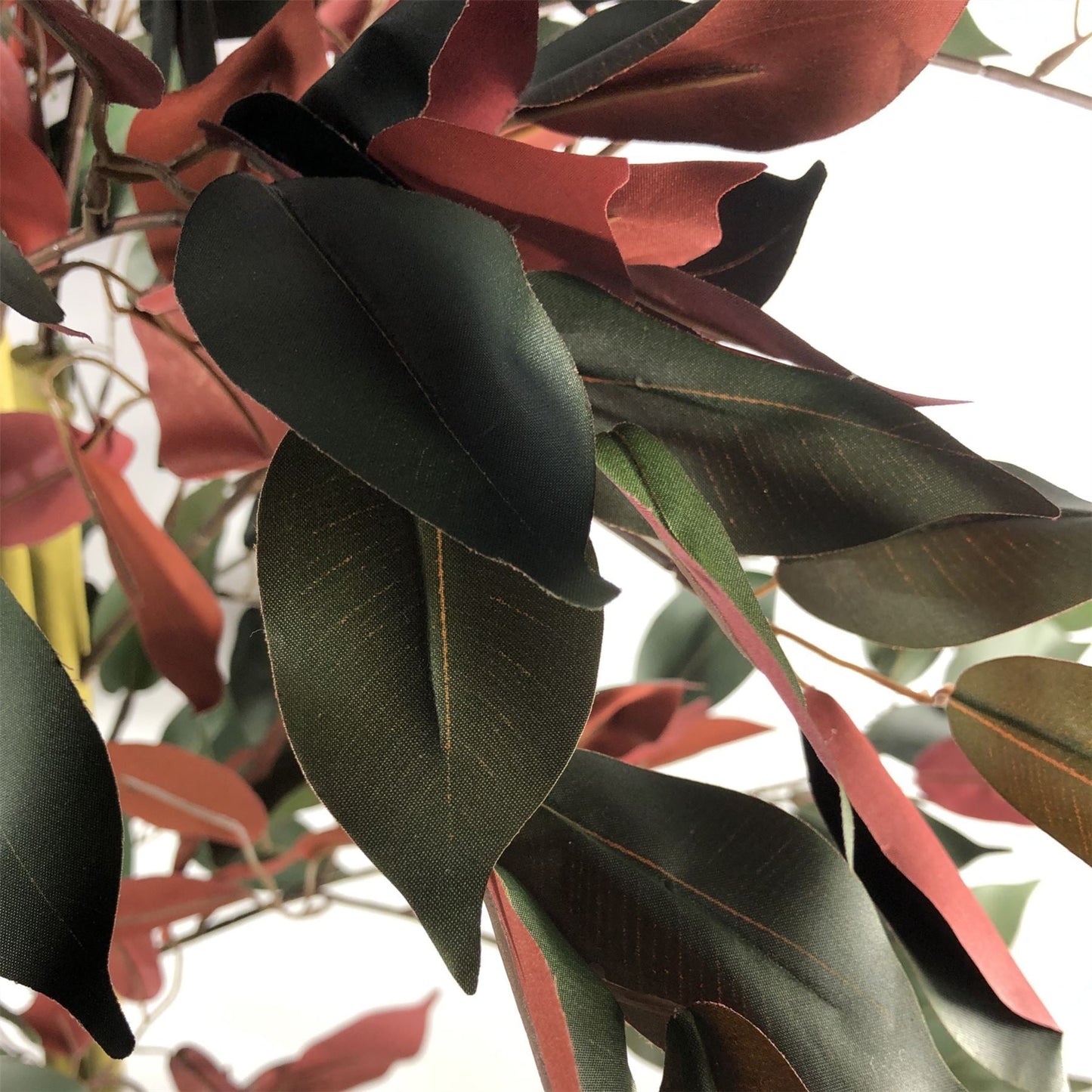 Majestic 4ft Dark Red & Green Ficus Plant - Lifelike Indoor Décor! - plants - express.com