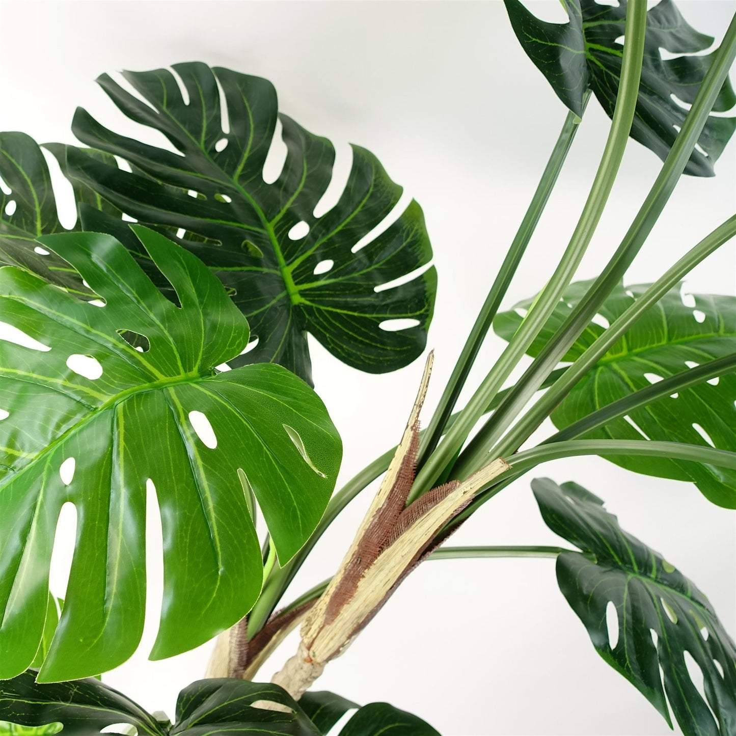 Majestic 5ft Faux Monstera Cheese Plant in Sleek Black Pot – Perfect Décor! - plants - express.com