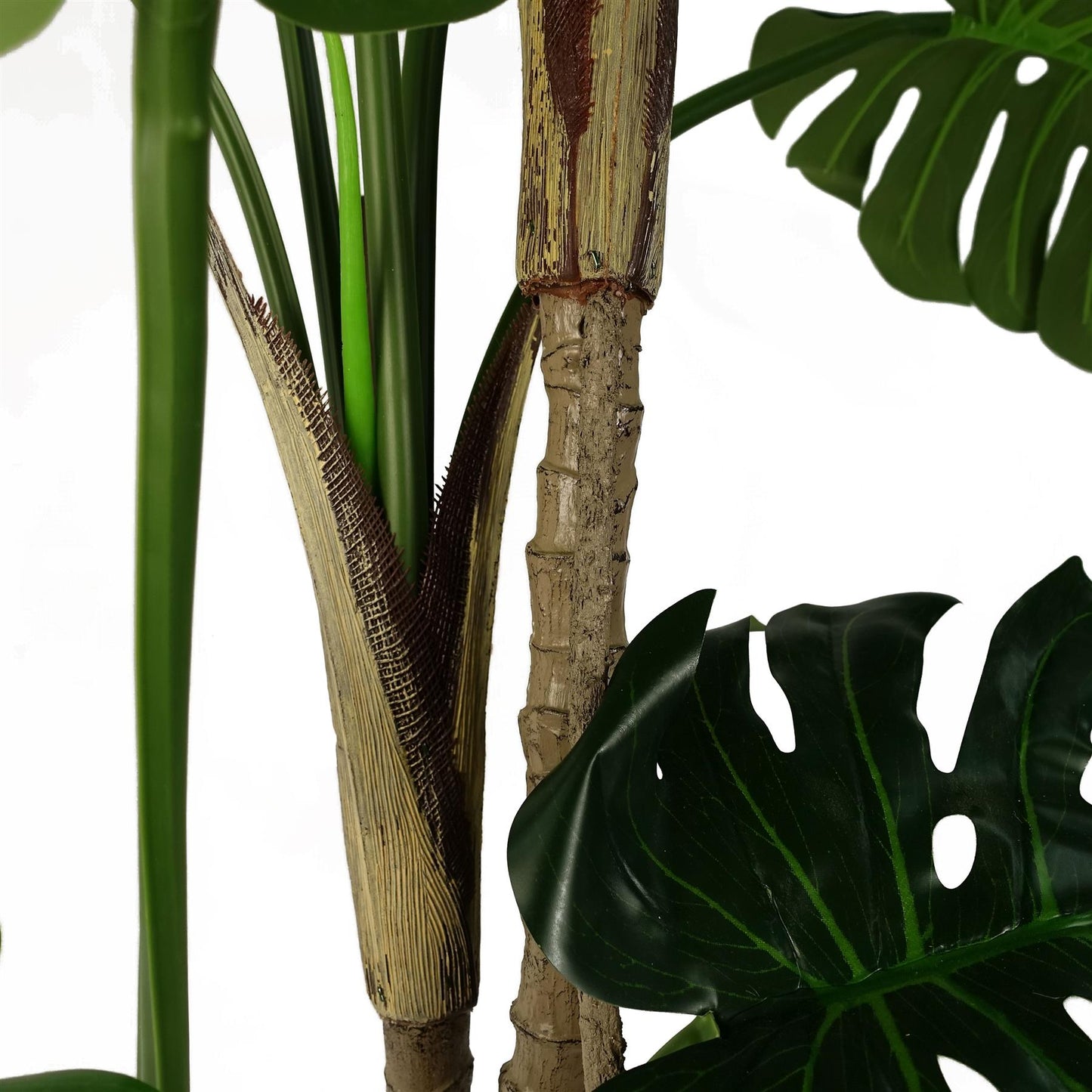 Majestic 5ft Faux Monstera Cheese Plant in Sleek Black Pot – Perfect Décor! - plants - express.com