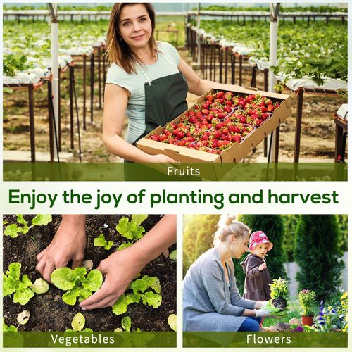 Mini Greenhouse with Steel Frame & PE Cover – 180 x 90 x 90cm - plants - express.com