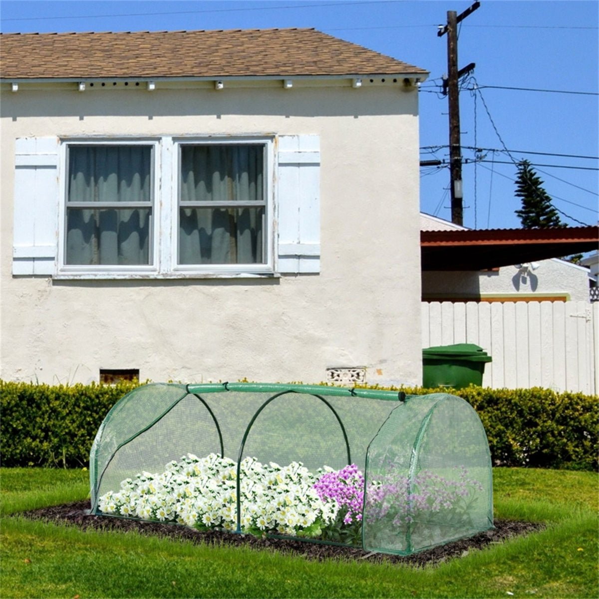 Mini Walk - in Greenhouse - plants - express.com