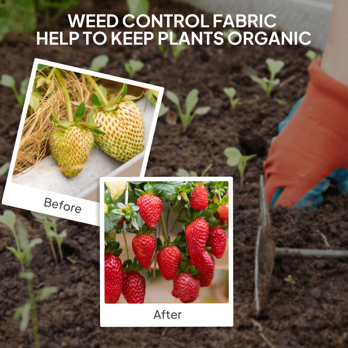 Outsunny 2m x 90m Weed Control Membrane, Heavy Duty Weed Barrier Fabric - plants - express.com