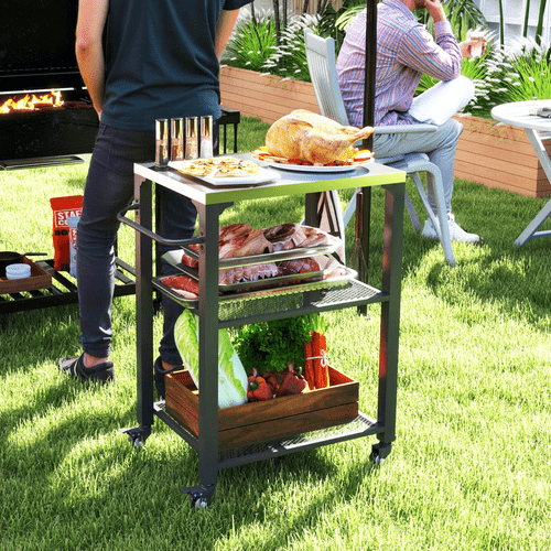Outsunny 3 - Shelf Stainless Steel Outdoor Grill Cart with Mobile Convenience - plants - express.com