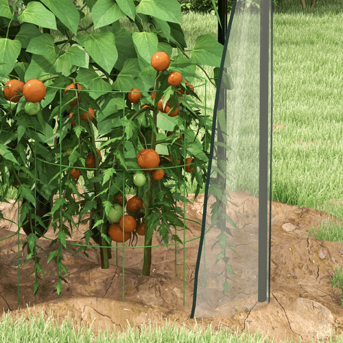Outsunny Compact Tomato Greenhouse with 2 Zipped Doors - Sturdy & Weatherproof - plants - express.com