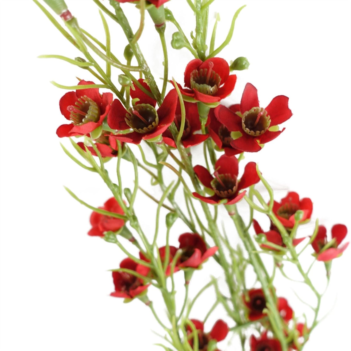Pack of 6 x 100cm Artificial Foliage Stem with Small Flowers - Red - plants - express.com