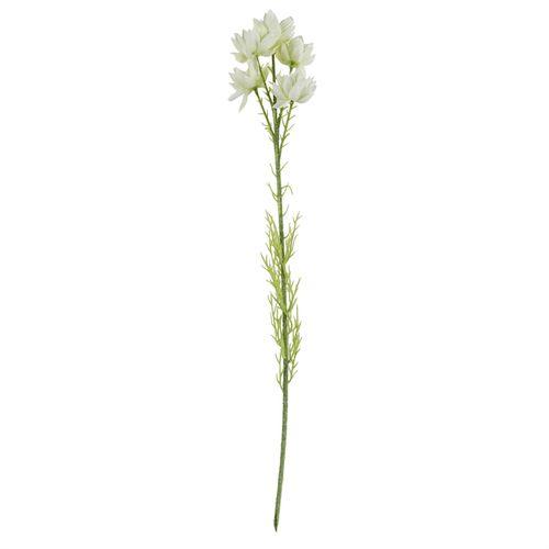 Pack of 6 x 60cm White Starflower Stem - 30 Flowers - plants - express.com