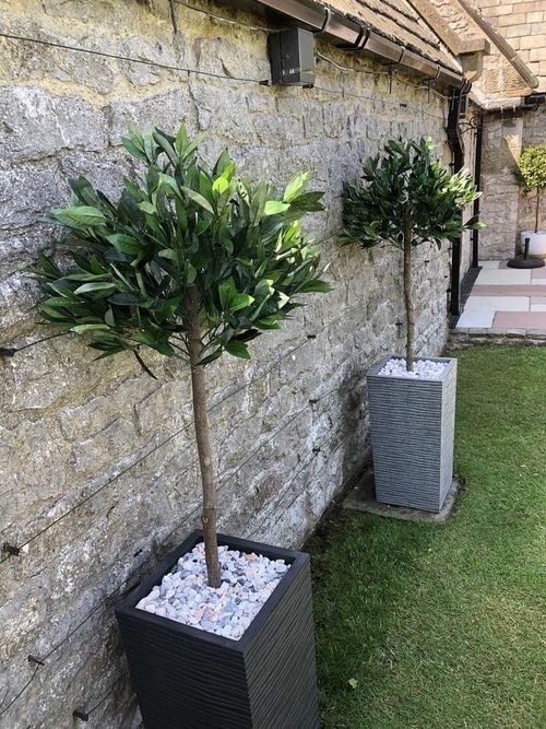 Pair of 4ft Maintenance - Free Artificial Bay Laurel Topiary Trees - Classic Elegance - plants - express.com