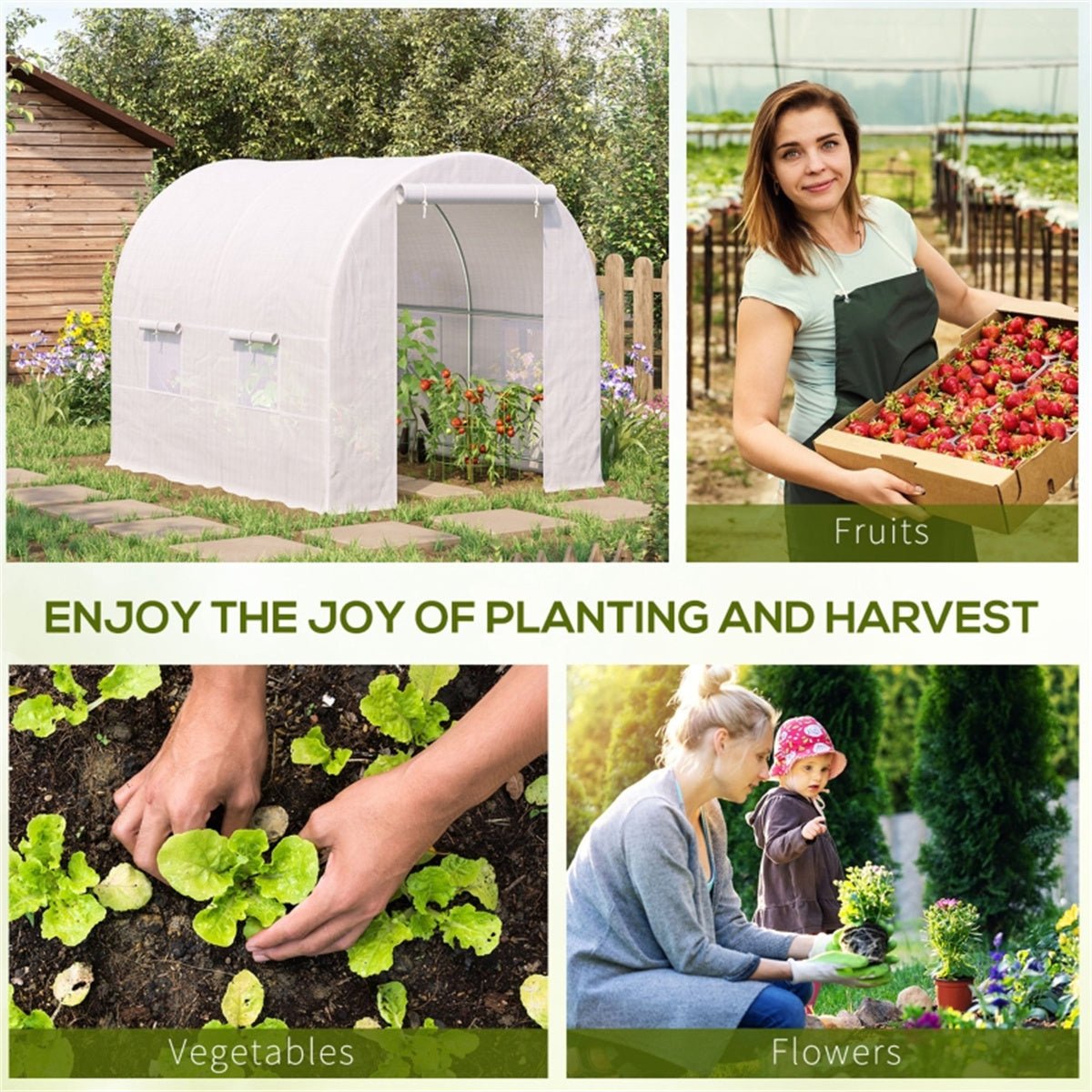 Polytunnel Greenhouse、Walk - in Green House - plants - express.com