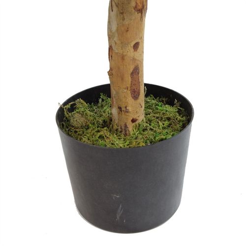 Premium 100cm Artificial Dracaena Tree - Realistic, Customizable & Elegant - plants - express.com