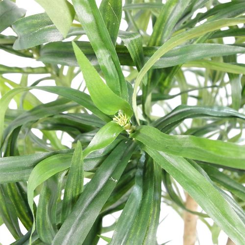 Premium 100cm Artificial Dracaena Tree - Realistic, Customizable & Elegant - plants - express.com