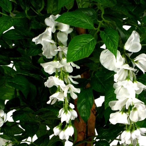 Premium 130cm Faux Wisteria Tree with Elegant White Flowers - Perfect Décor - plants - express.com