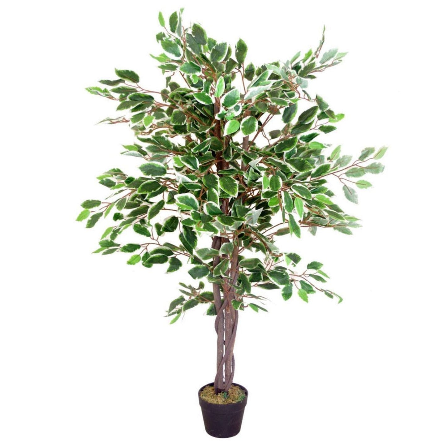 Premium 130cm Realistic Ficus Tree - Lifelike Artificial Plant for Any Space - plants - express.com