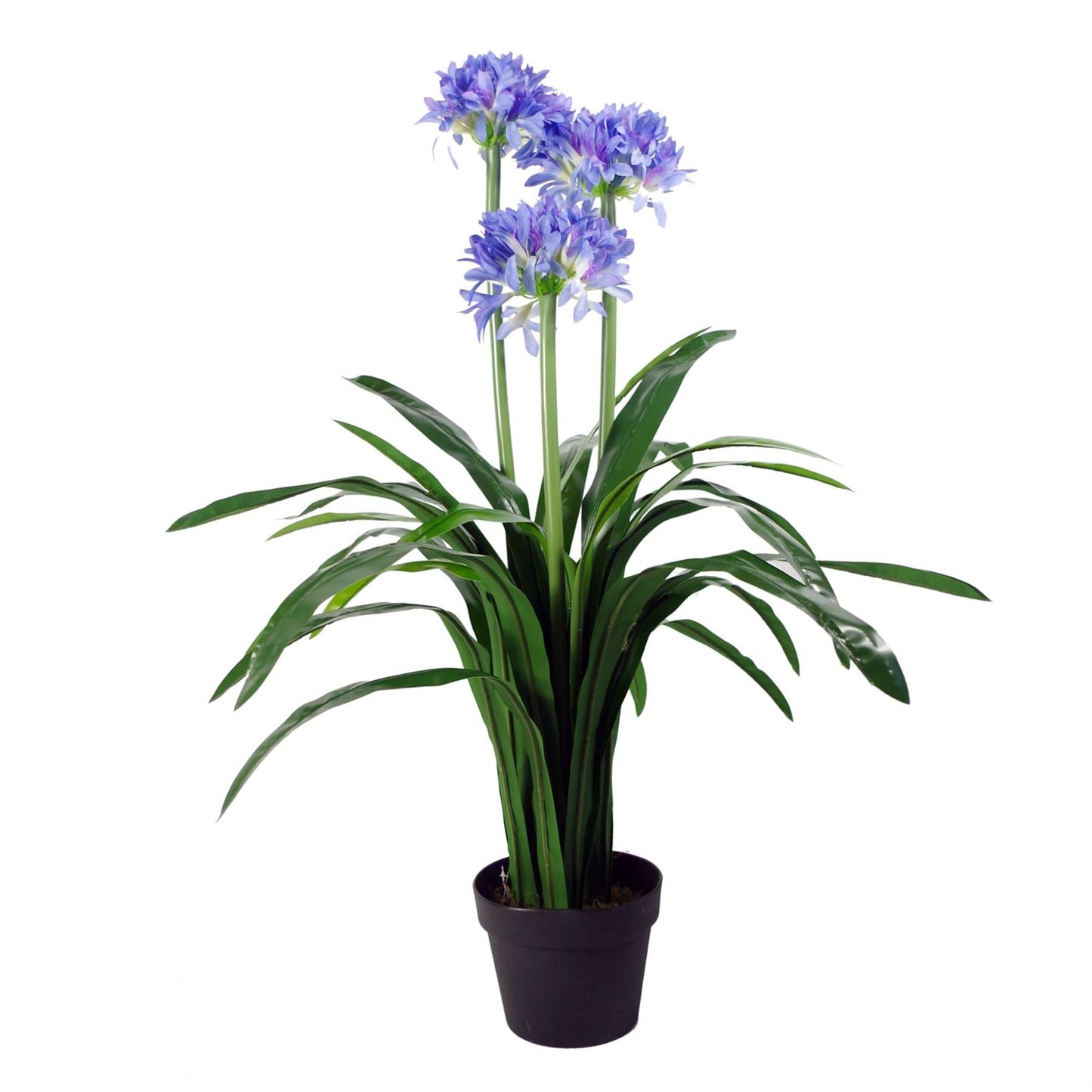 Radiant 90cm Blue Silk Agapanthus – Stunning Lifeslike Artificial Plant! - plants - express.com