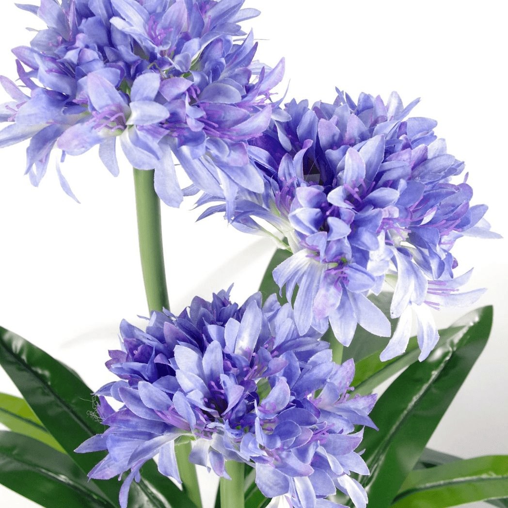 Radiant 90cm Blue Silk Agapanthus – Stunning Lifeslike Artificial Plant! - plants - express.com