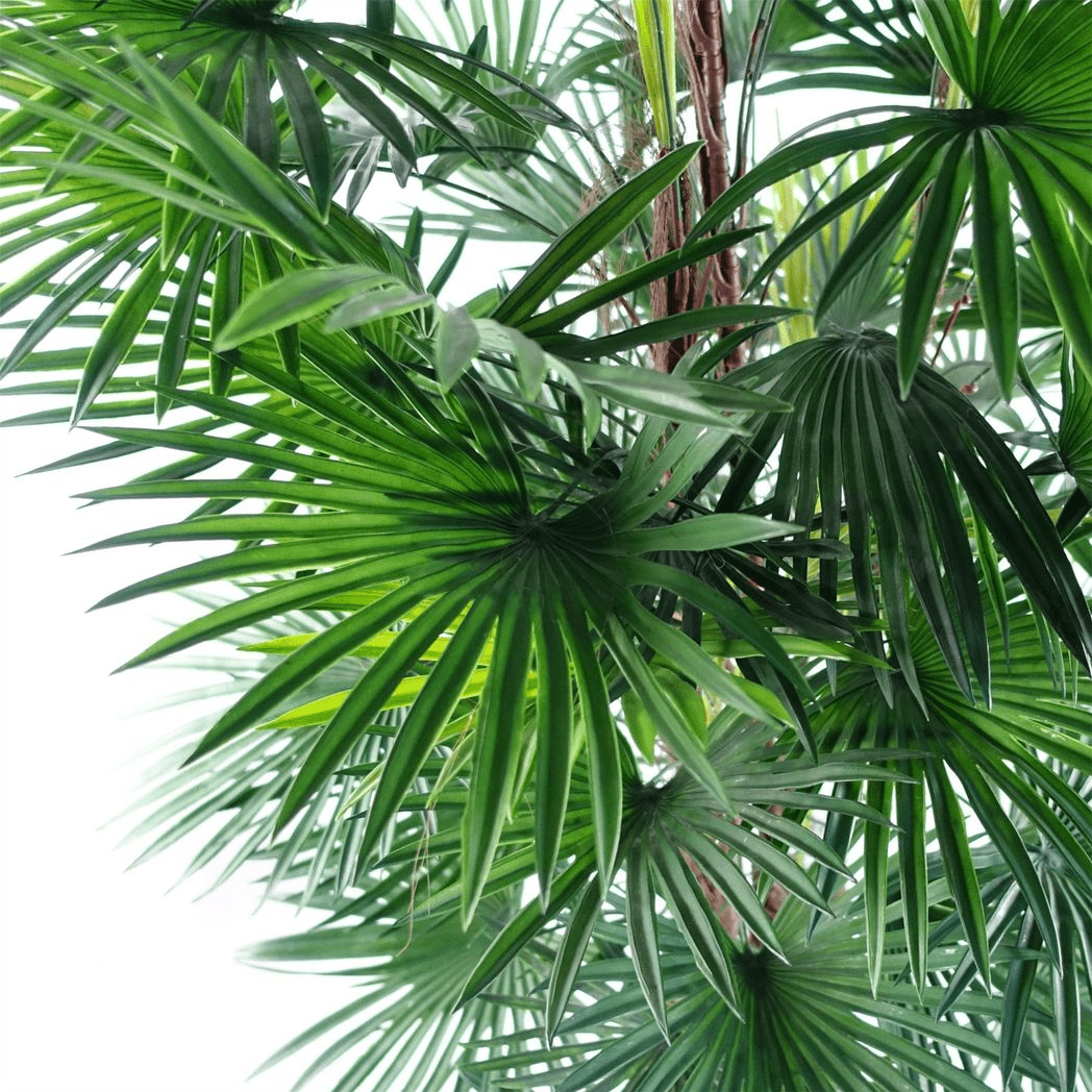 Realistic 120cm Artificial Fan Palm Tree - Lifelike Decor for Any Space - plants - express.com