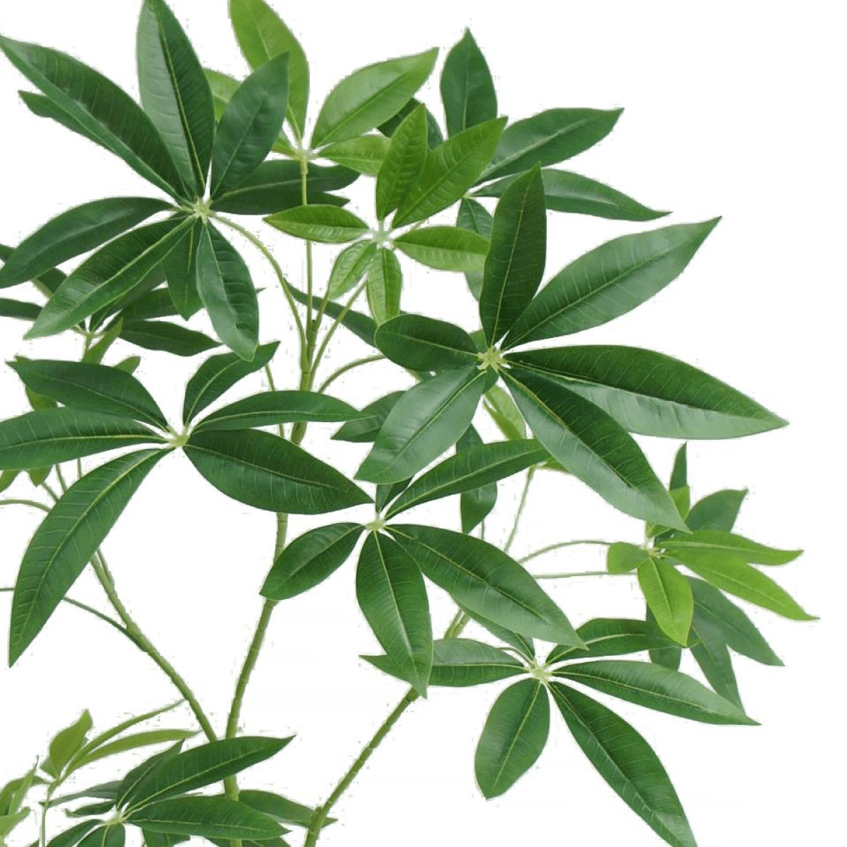 Realistic 120cm Artificial Money Tree Pachira - Lifelike Greenery for Any Space - plants - express.com