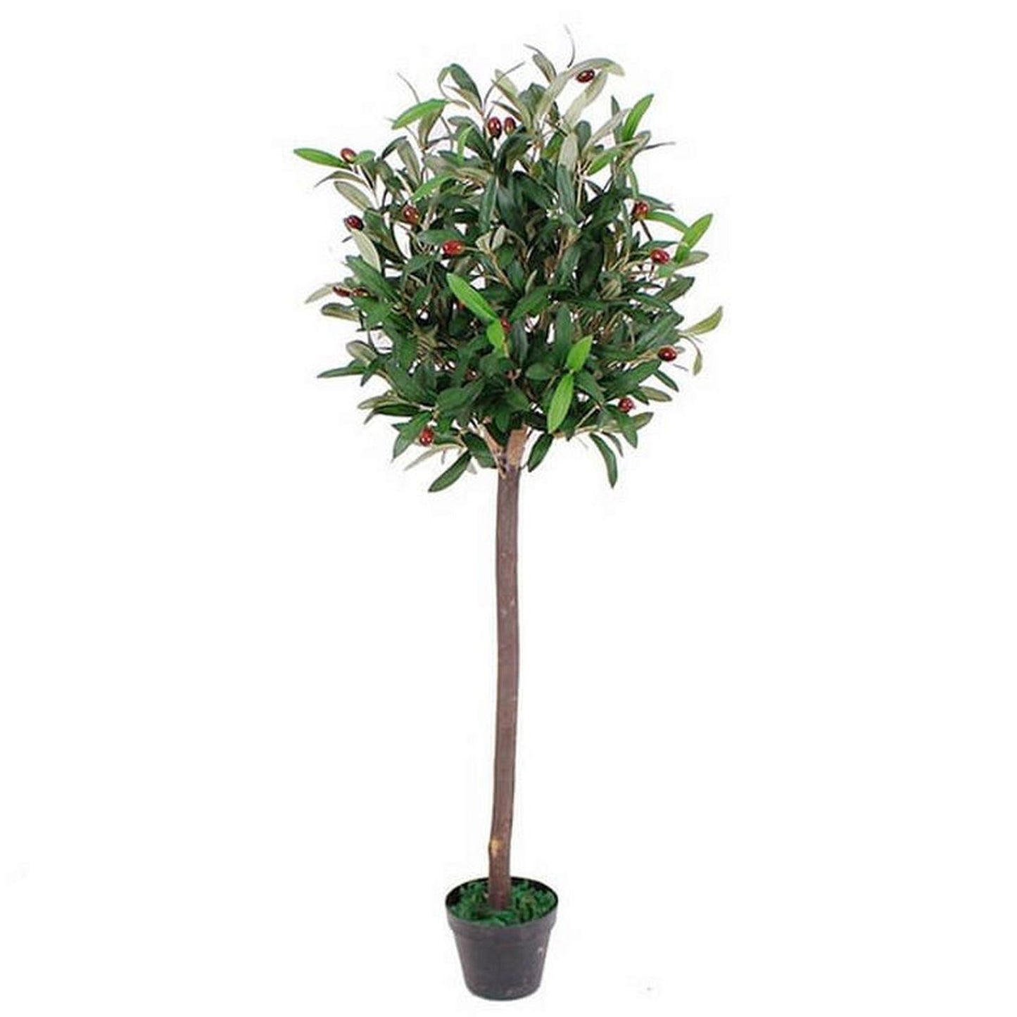 Realistic 120cm Artificial Olive Tree in Black Pot – Perfect Botanical Décor - plants - express.com