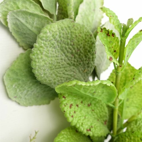 Realistic 125cm Artificial Mint Leaf Garland - Customizable & Lush Greenery - plants - express.com
